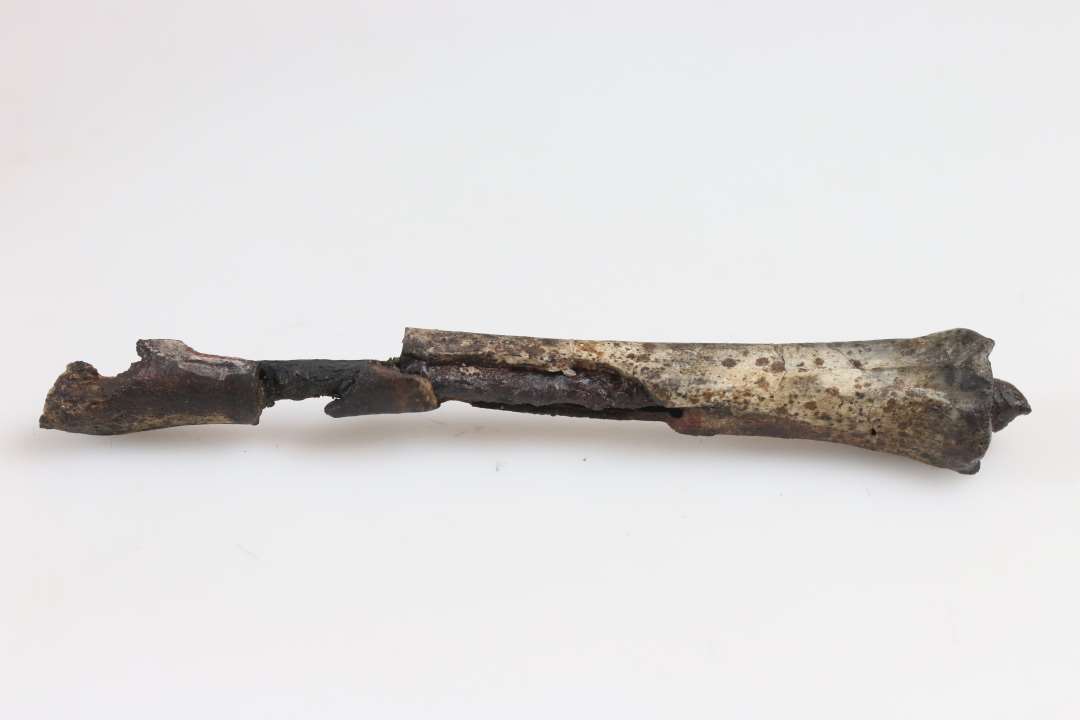 3 sammensatte brudstykker af jernnål i rørknogle. Samlet længde: 10,5 cm.